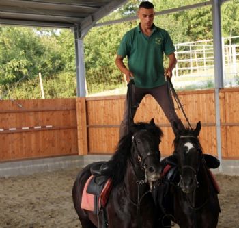 Loves Horses - Piacentino a Cavallo